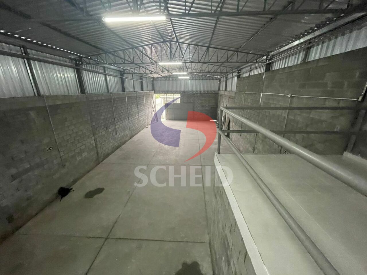 Foto 6