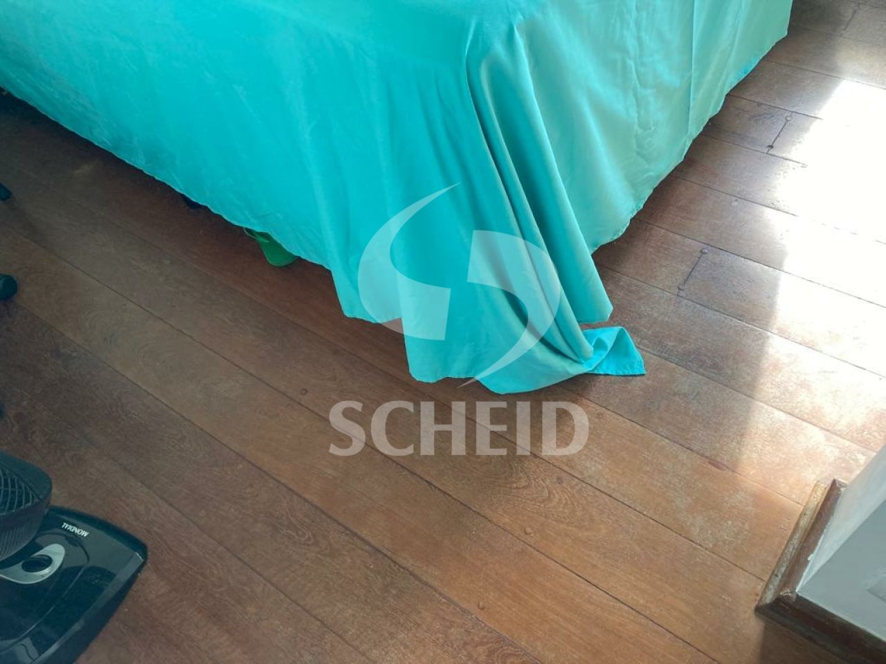 Foto 19