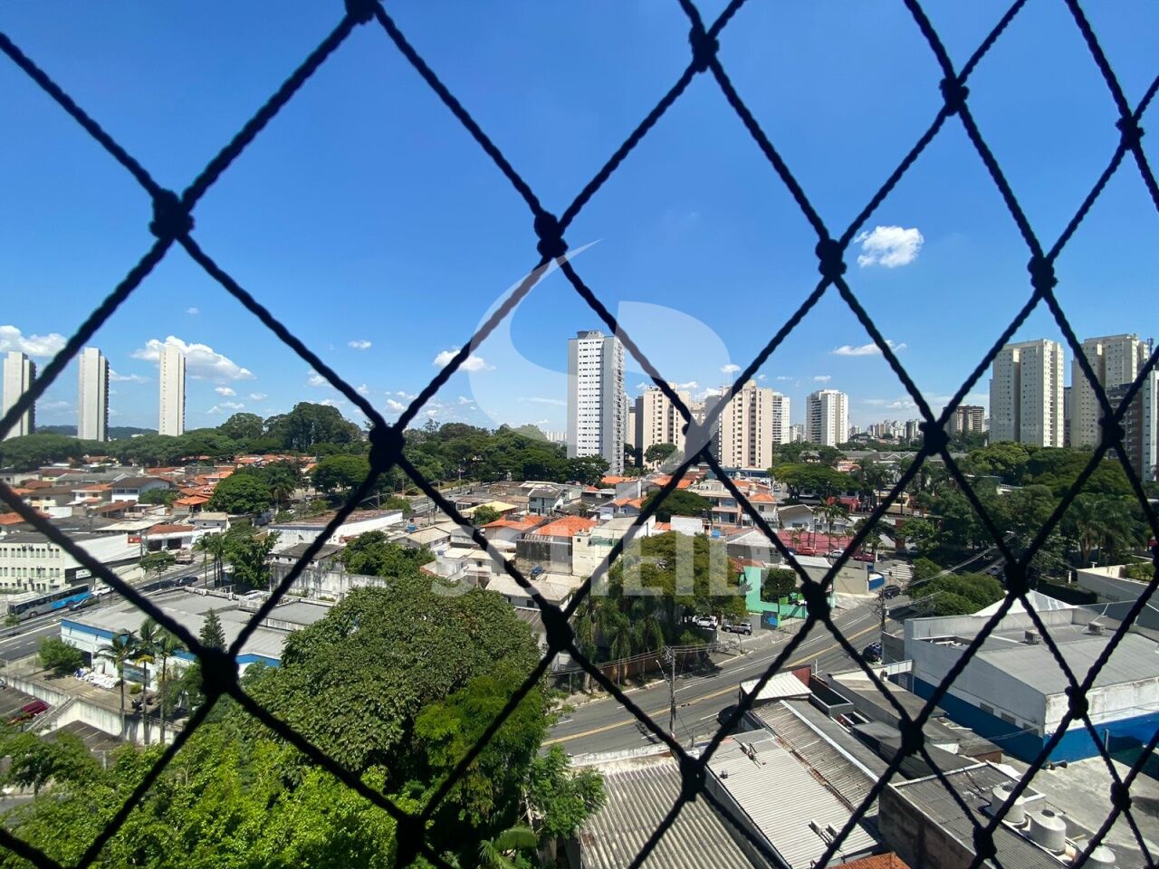 Foto 19