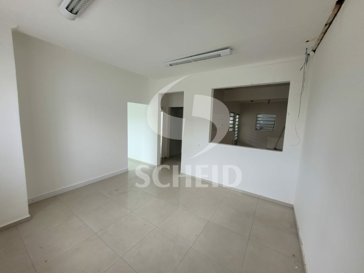 Foto 19