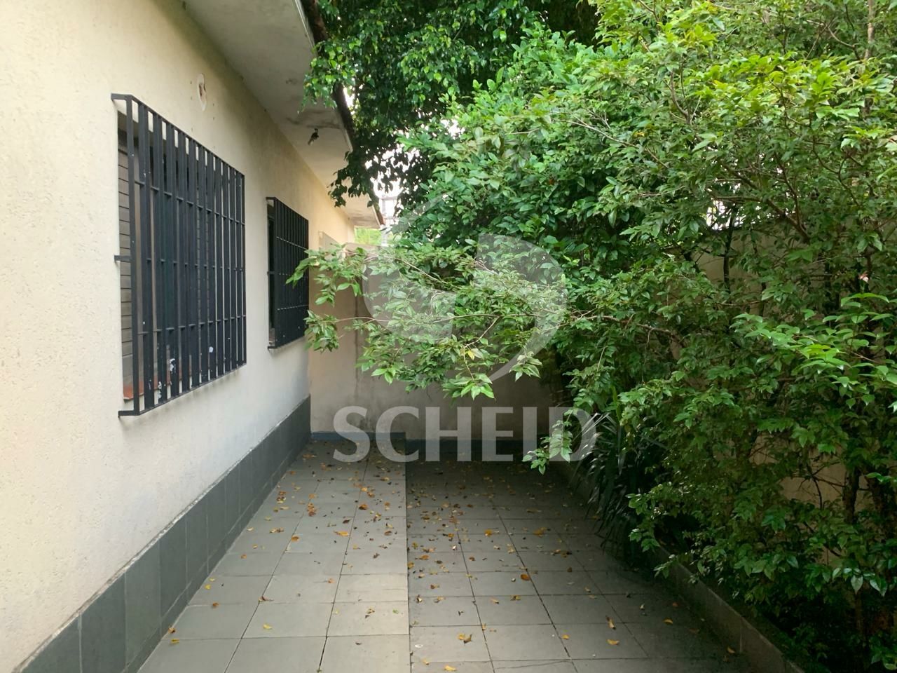Foto 42