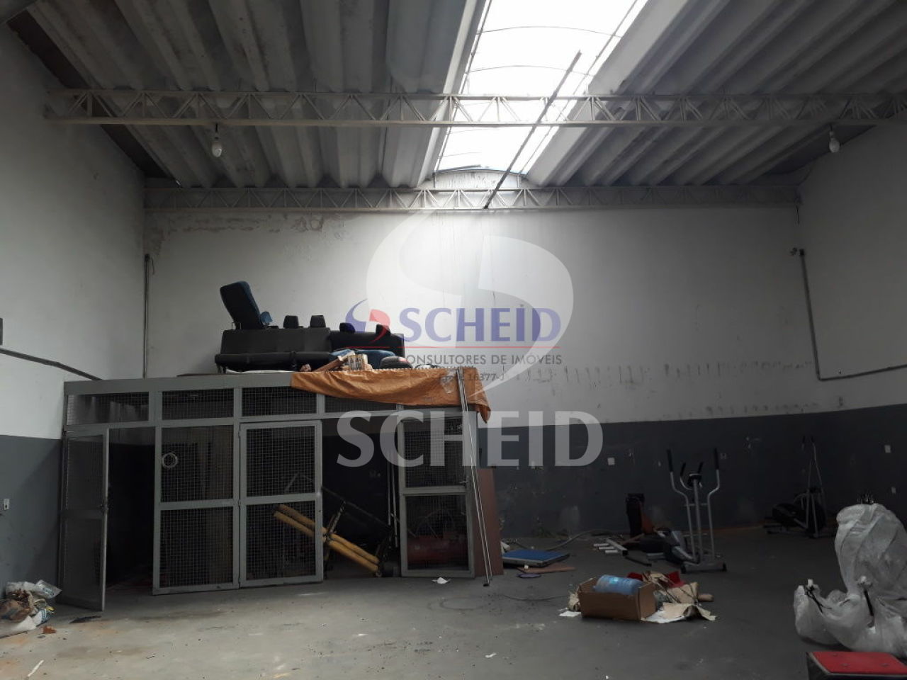 Foto 5