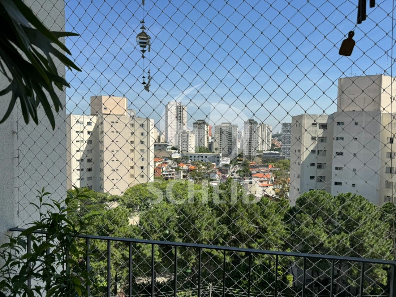 Foto 21