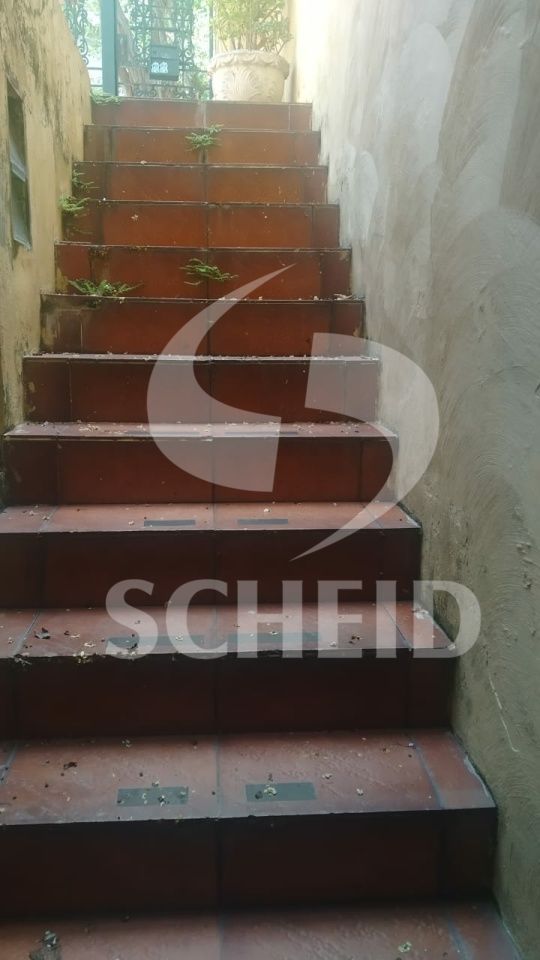 Foto 48