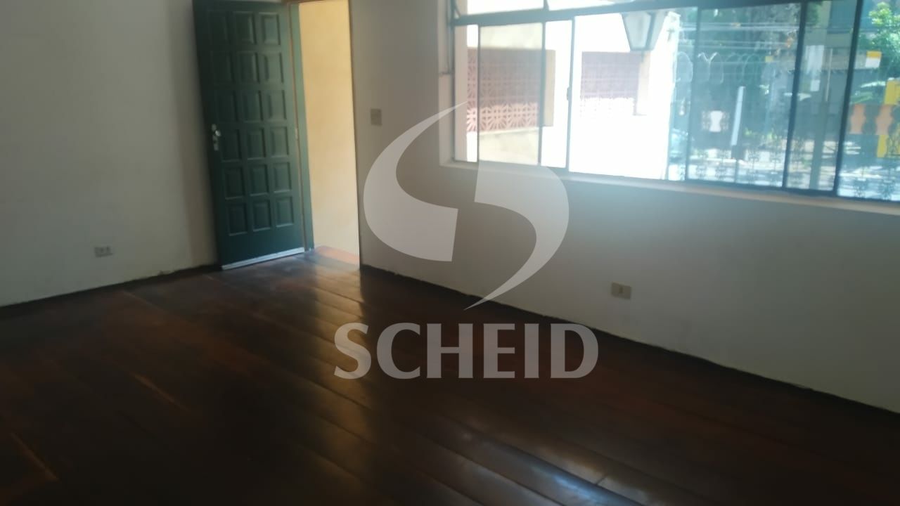 Foto 41