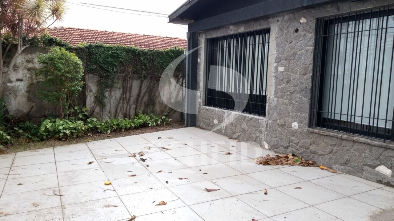 Foto 20