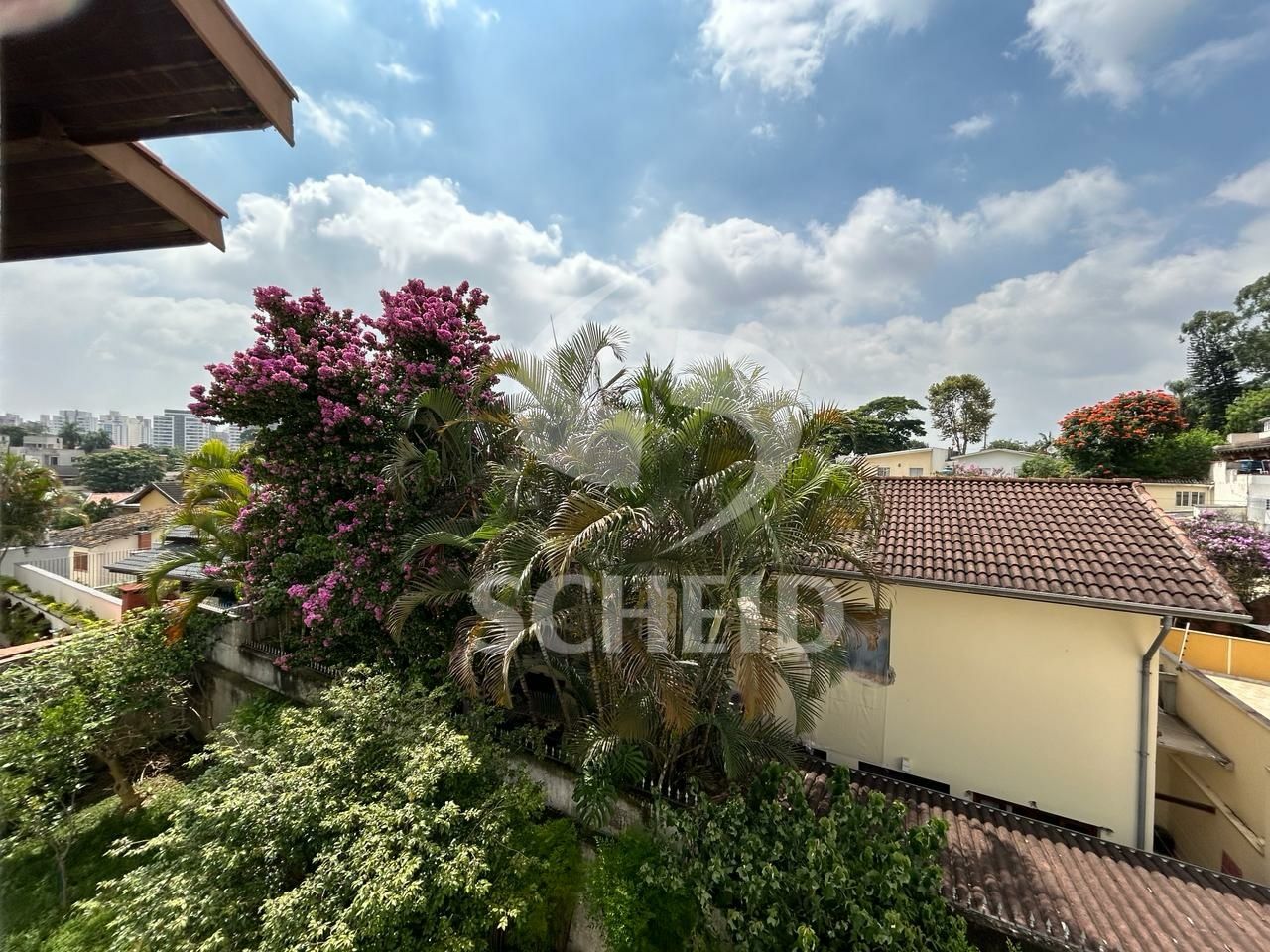 Foto 23