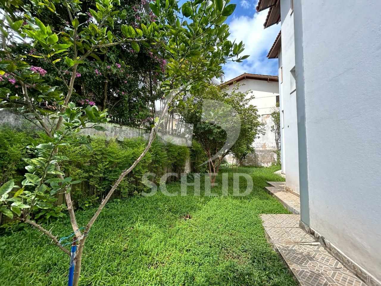Foto 40