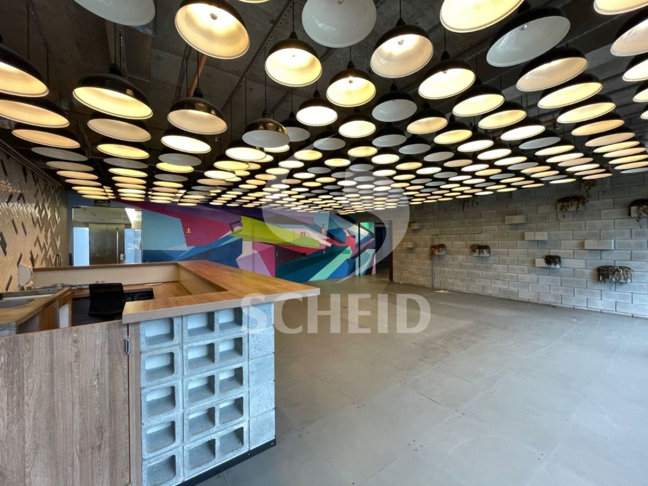 Foto 13