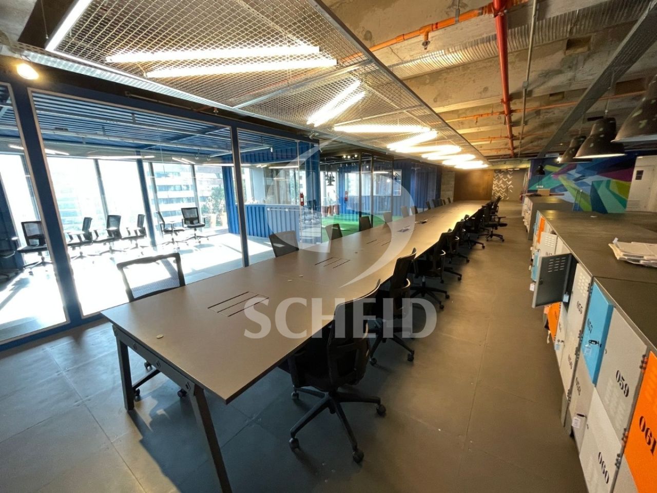 Foto 6