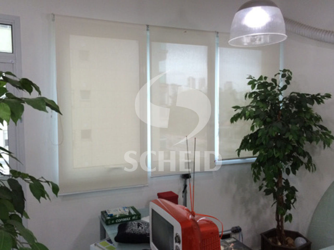 Foto 5
