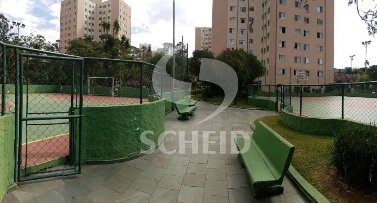Foto 21