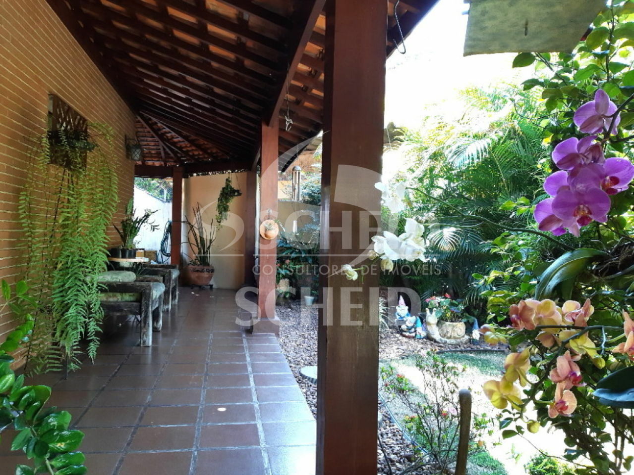 Foto 6