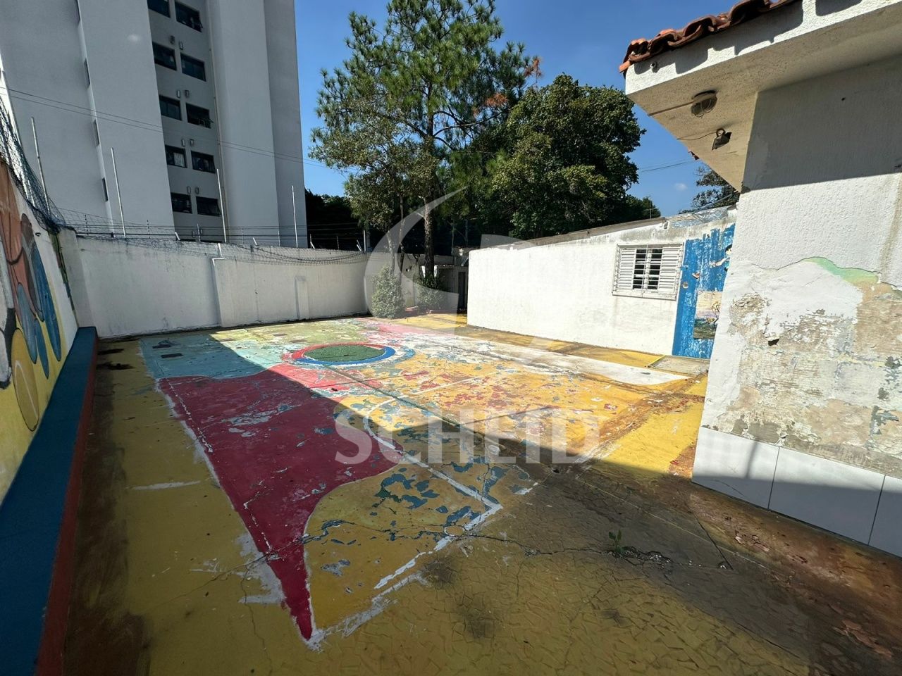 Foto 7