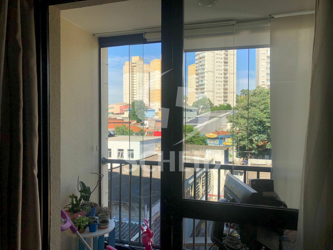 Foto 7