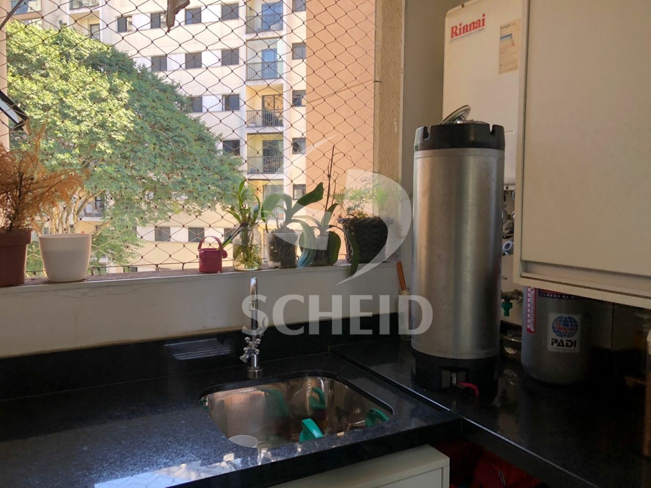 Foto 19