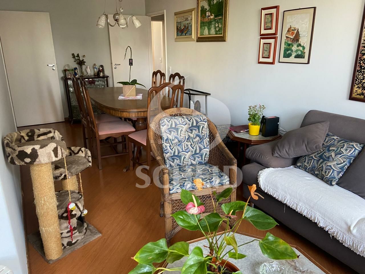 Foto 7