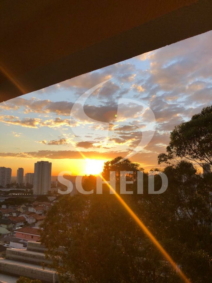 Foto 45