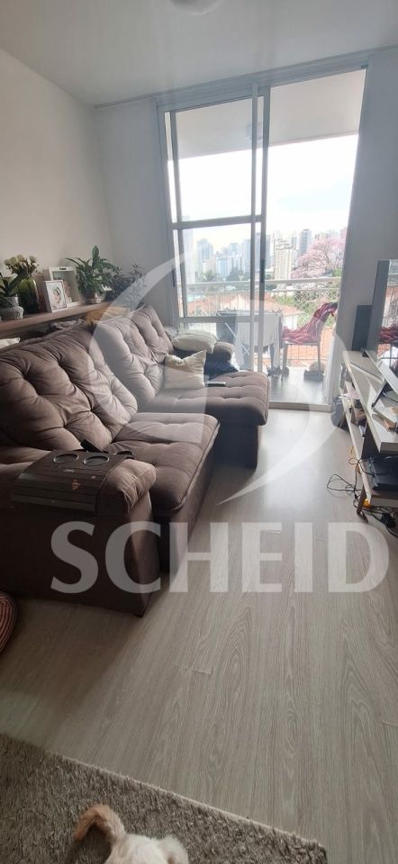 Foto 11