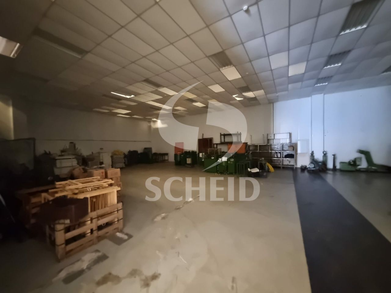 Foto 21