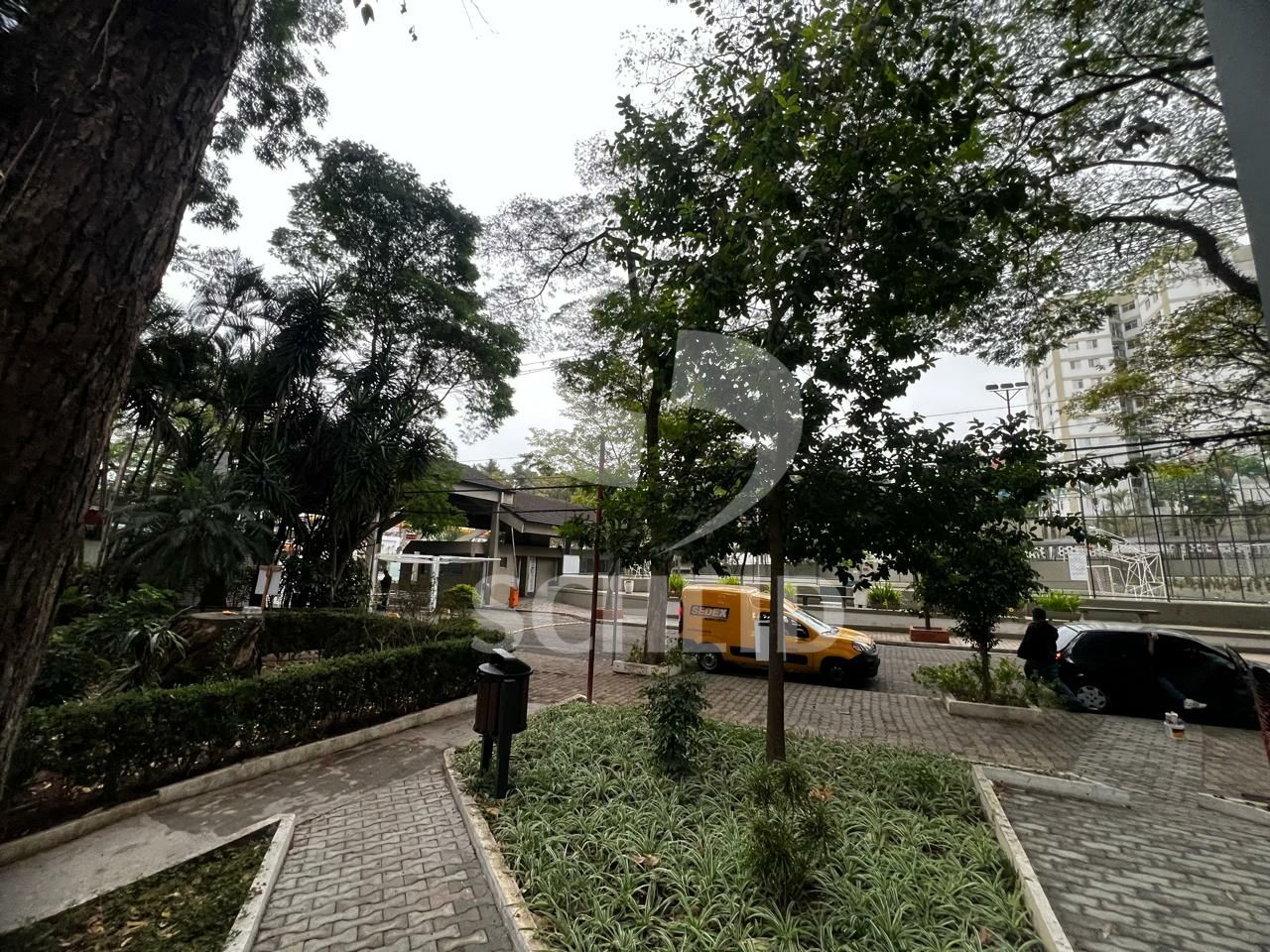 Foto 19