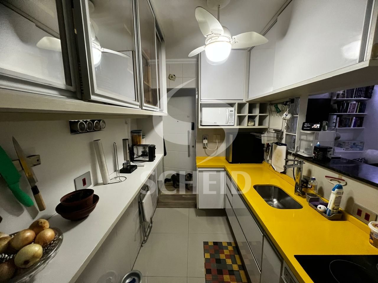 Foto 4