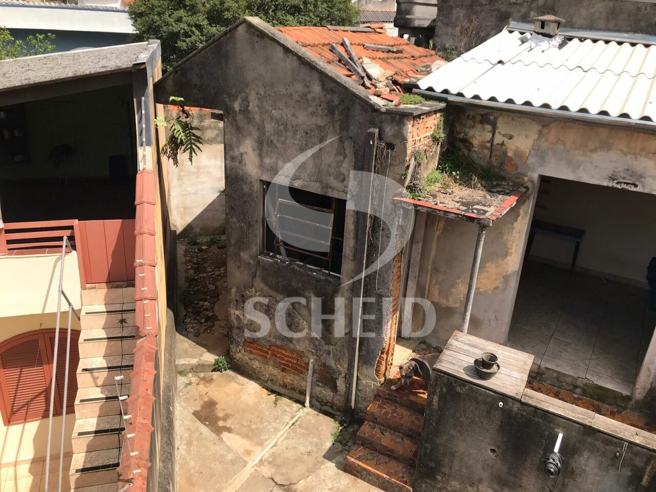 Foto 12