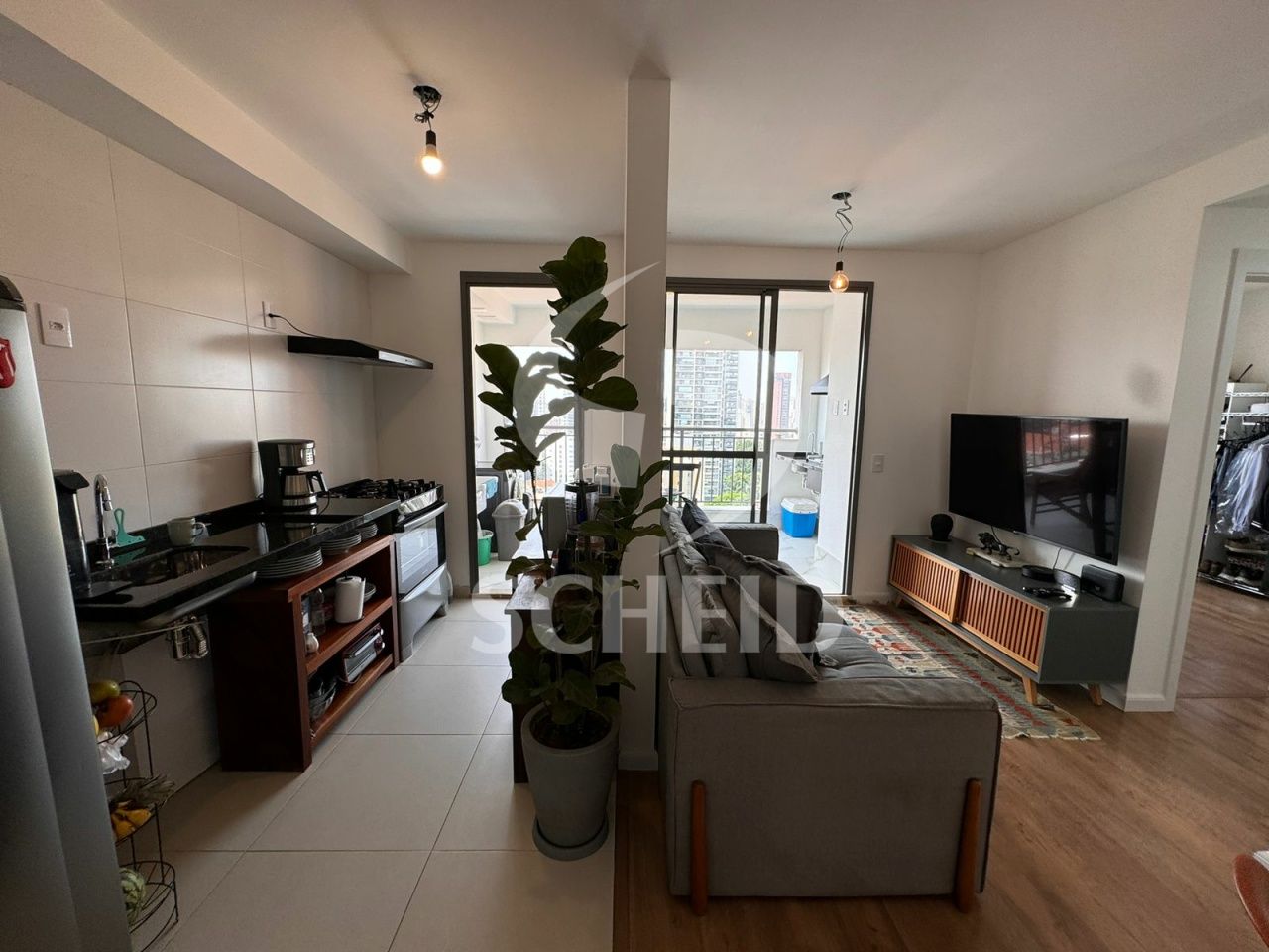 Foto 3