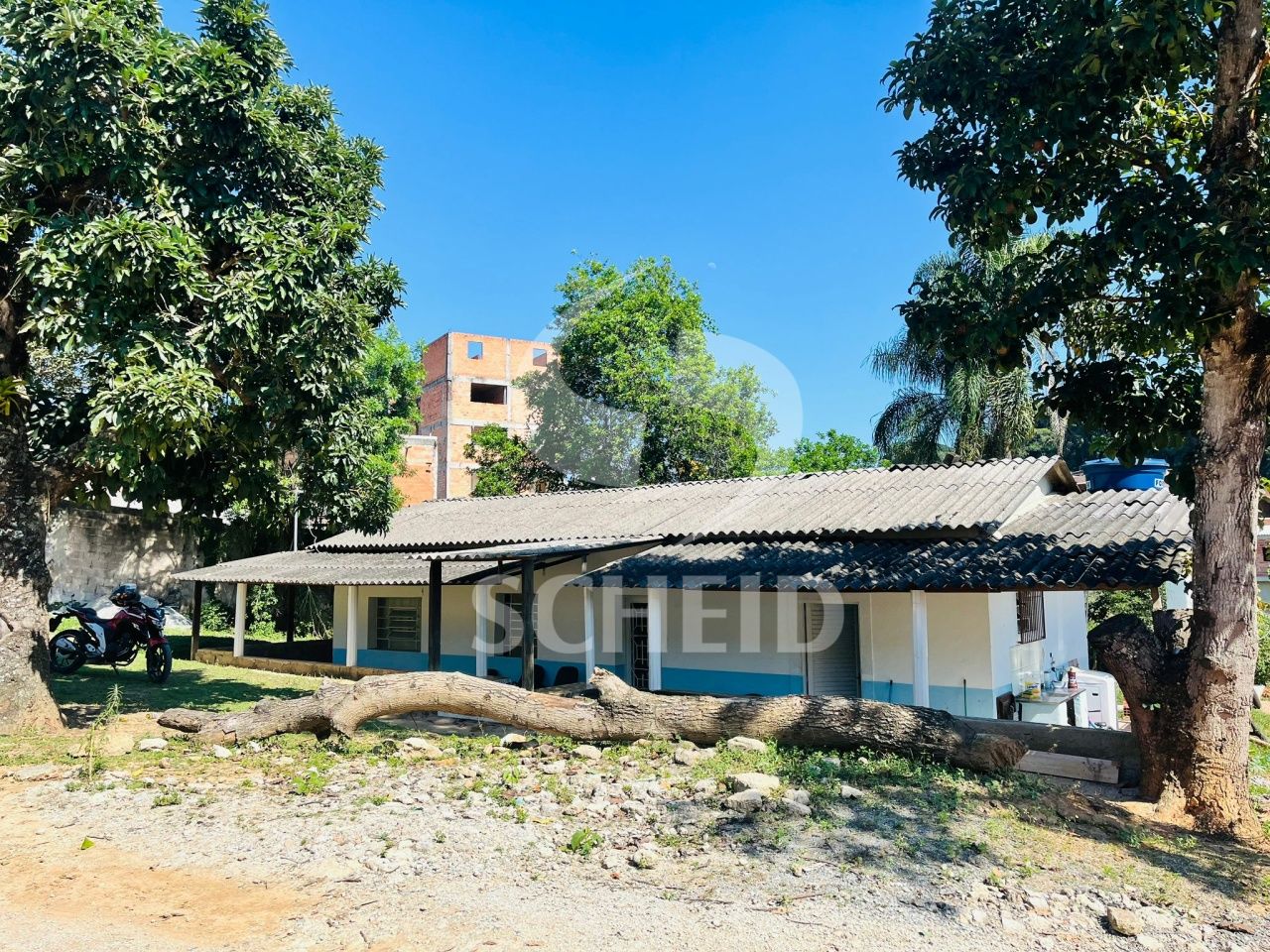 Foto 5