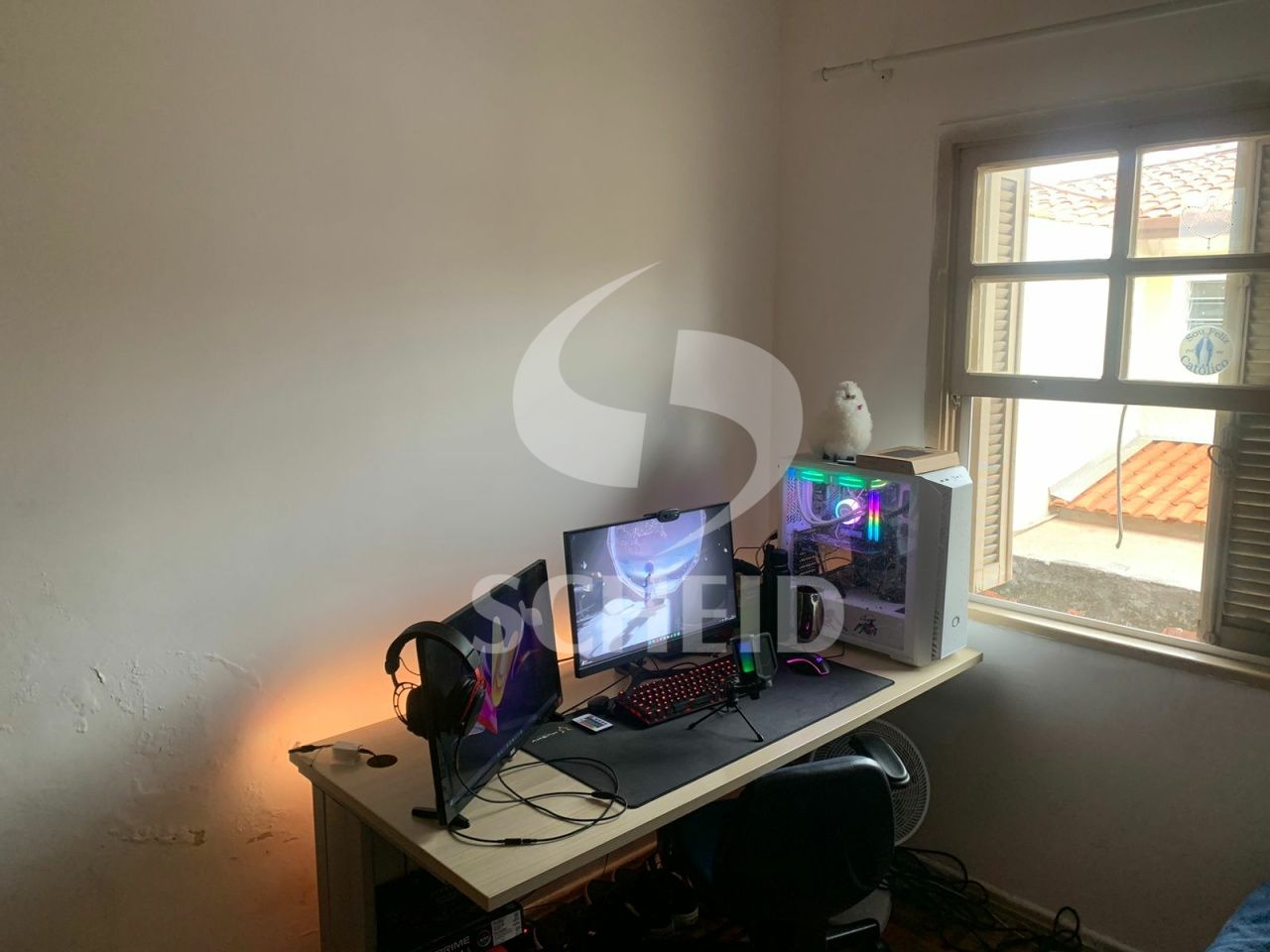 Foto 11