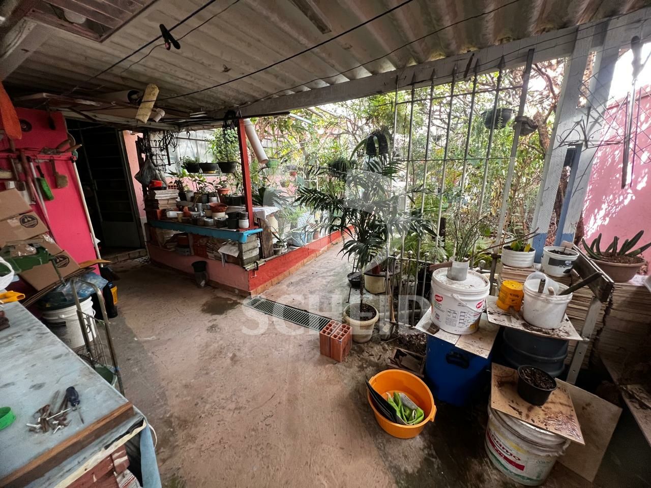 Foto 21