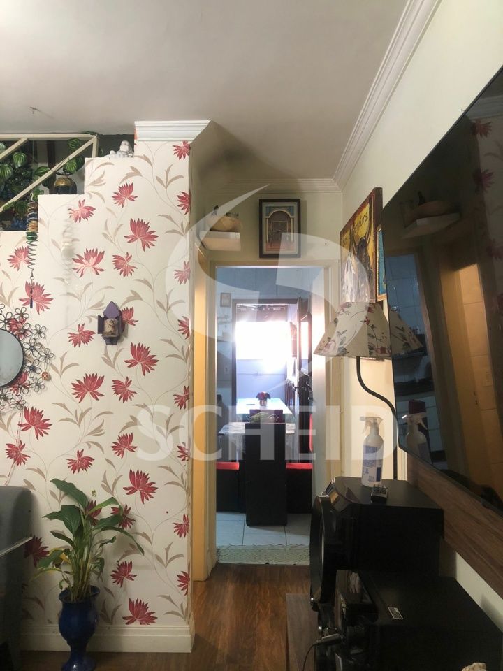 Foto 7