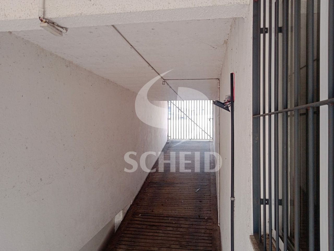 Foto 19