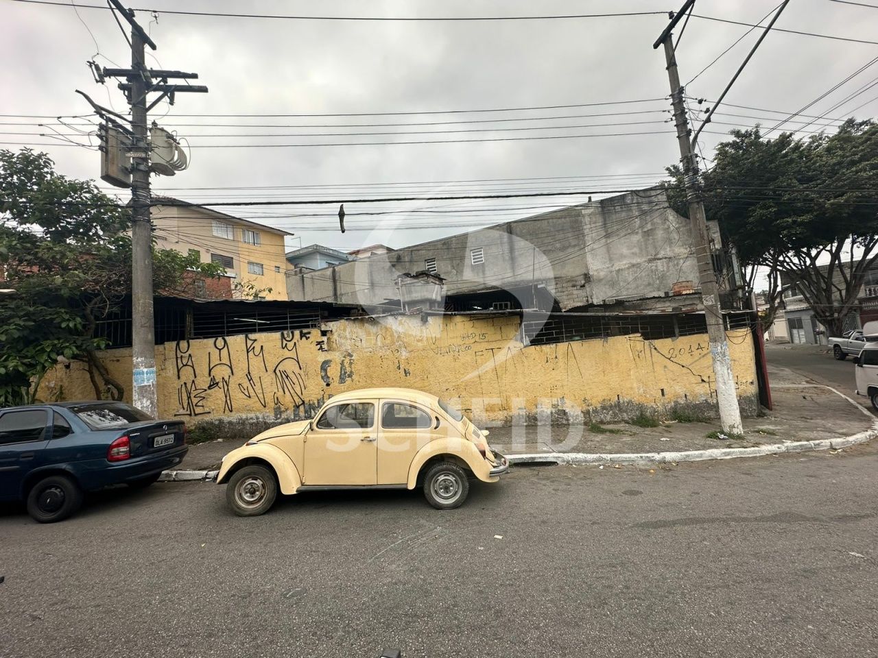 Foto 12