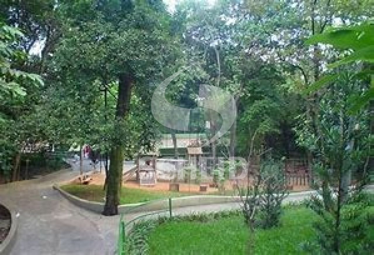 Foto 35