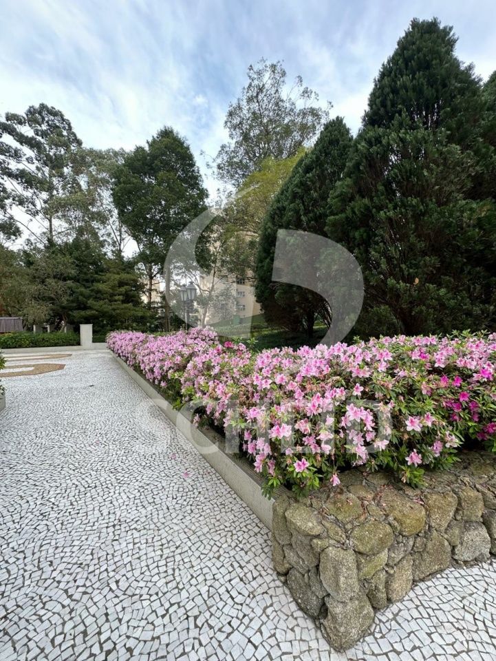 Foto 45