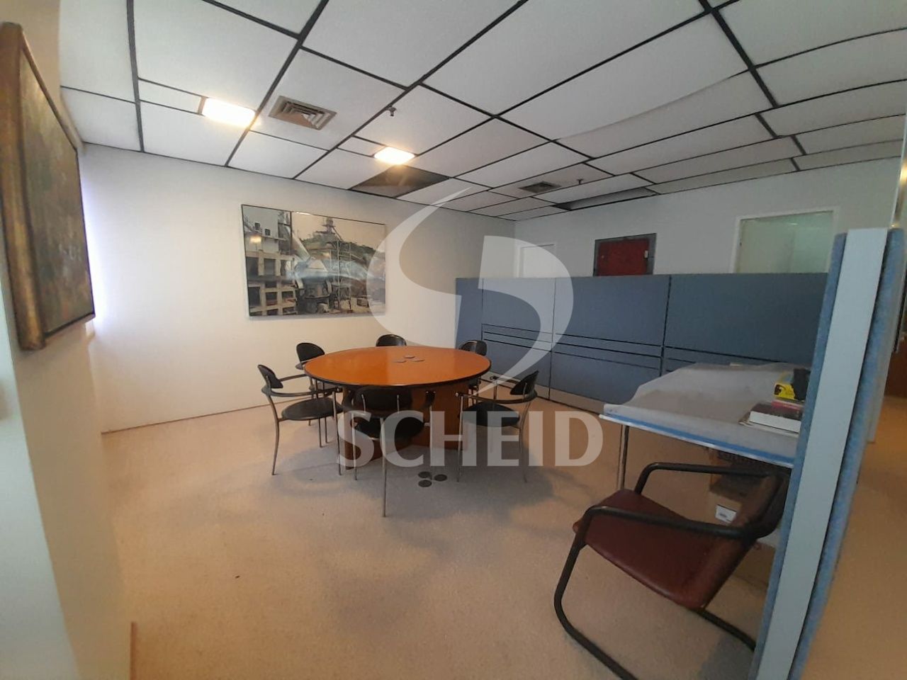 Foto 7
