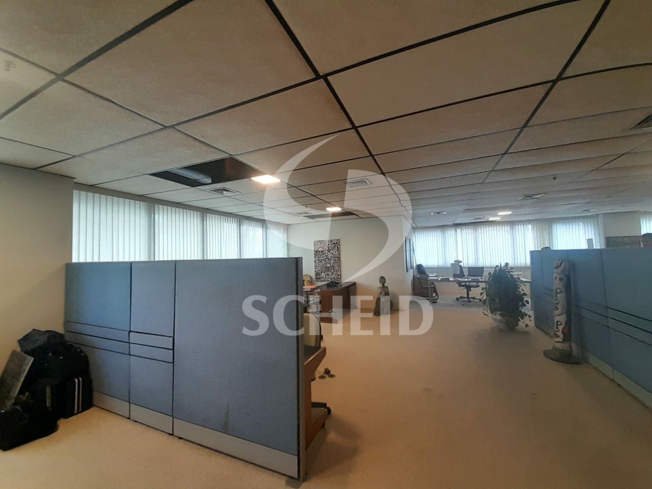 Foto 19