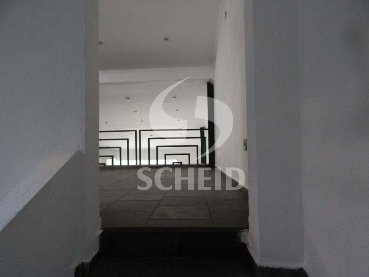 Foto 19