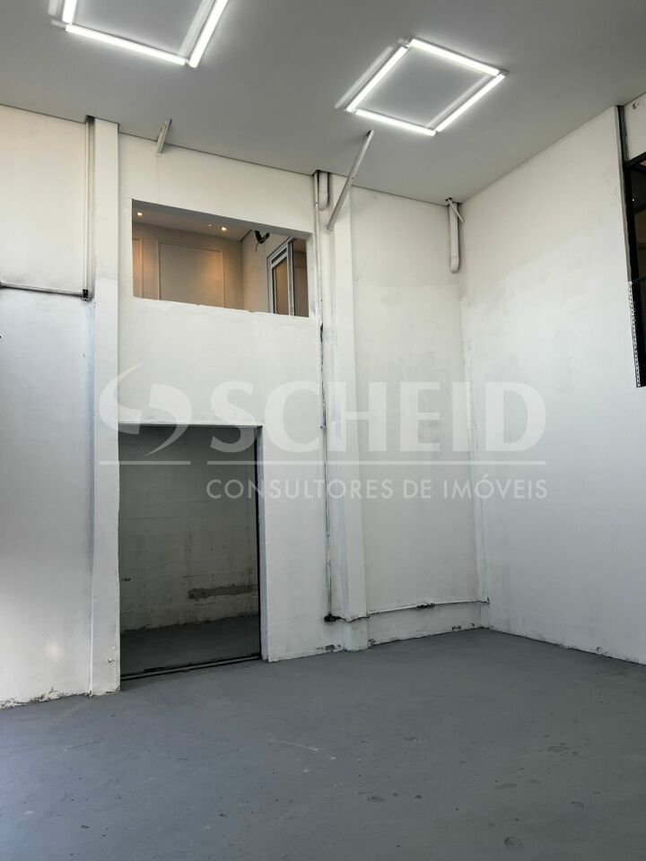 Foto 19