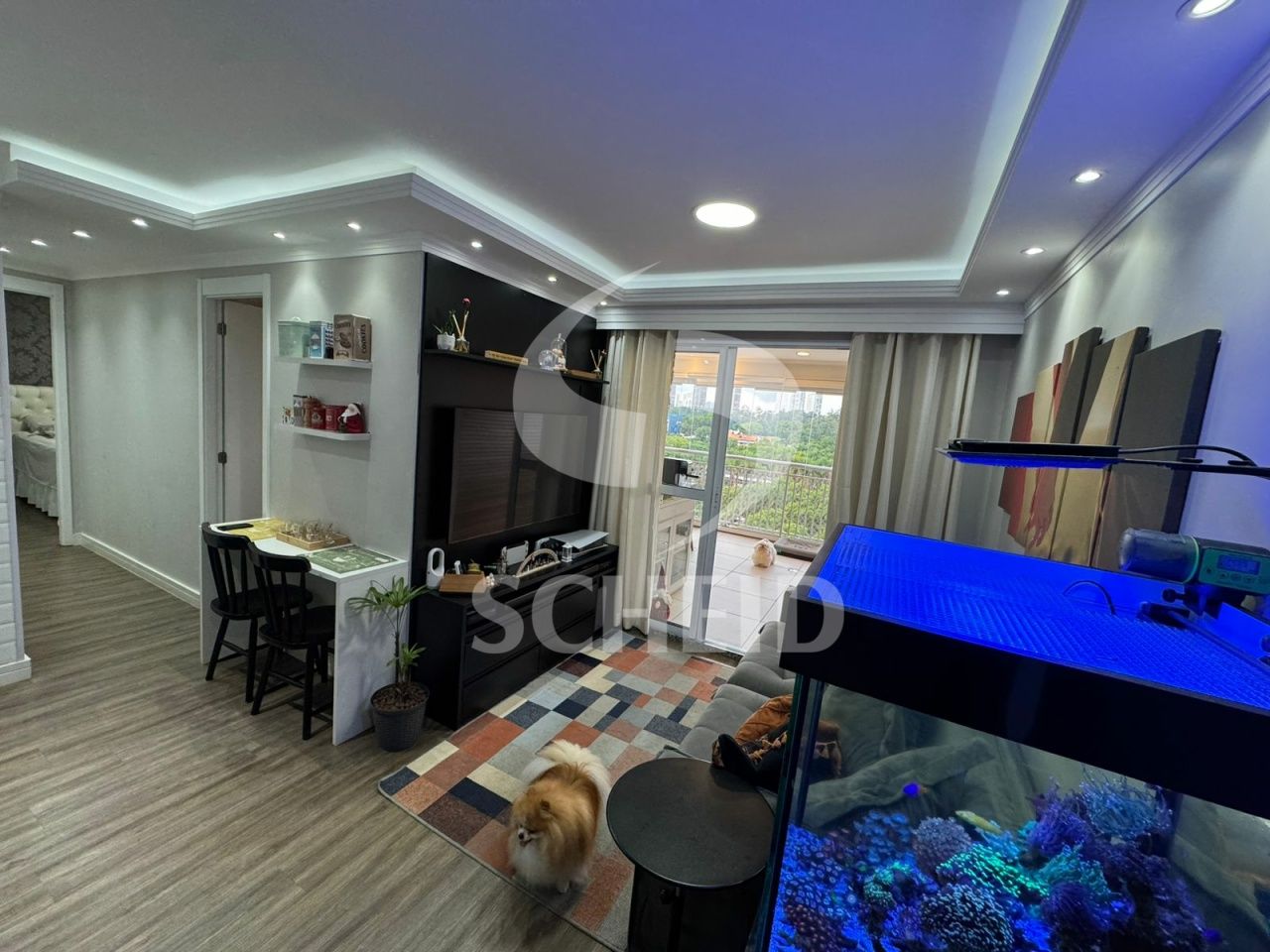 Foto 4