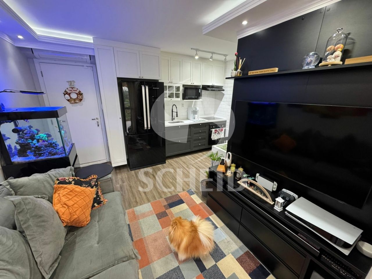 Foto 7