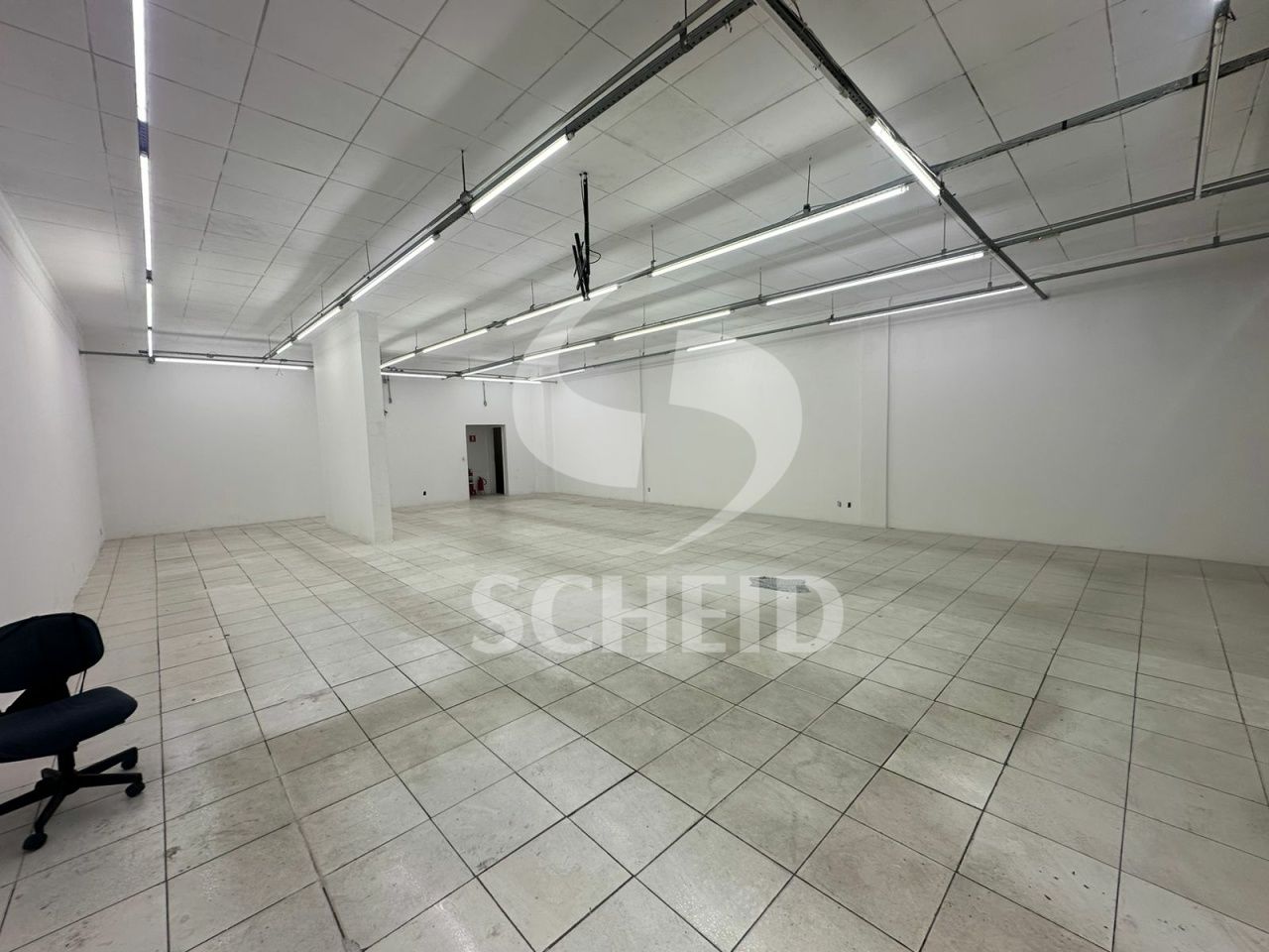 Foto 7