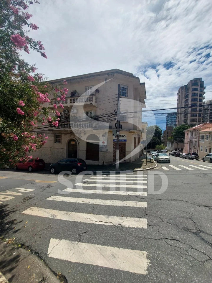 Foto 41
