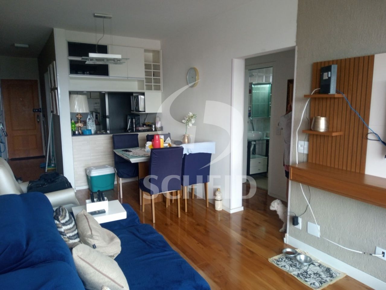 Foto 5