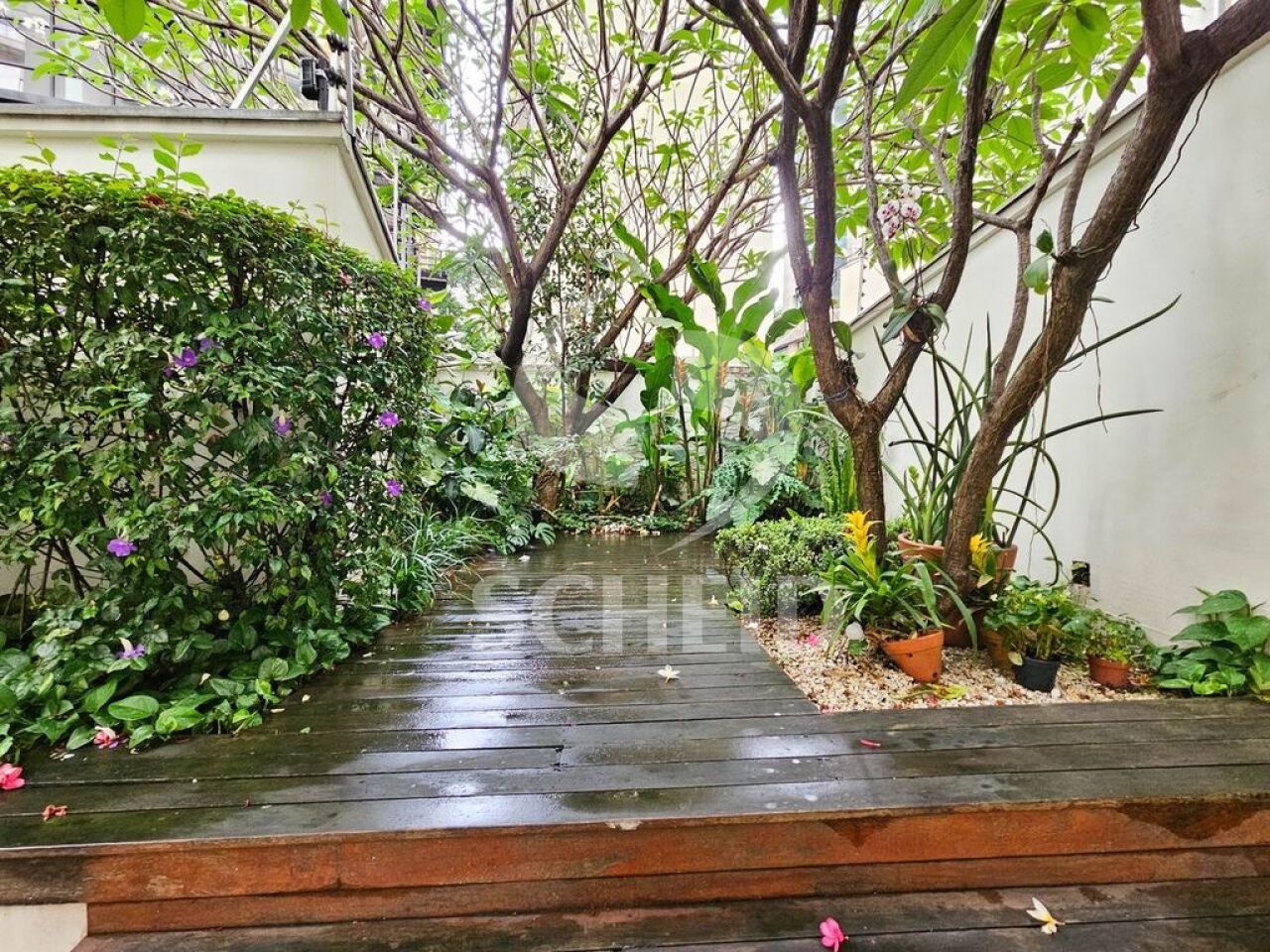 Foto 49