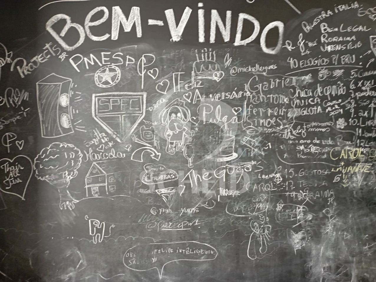 Foto 4