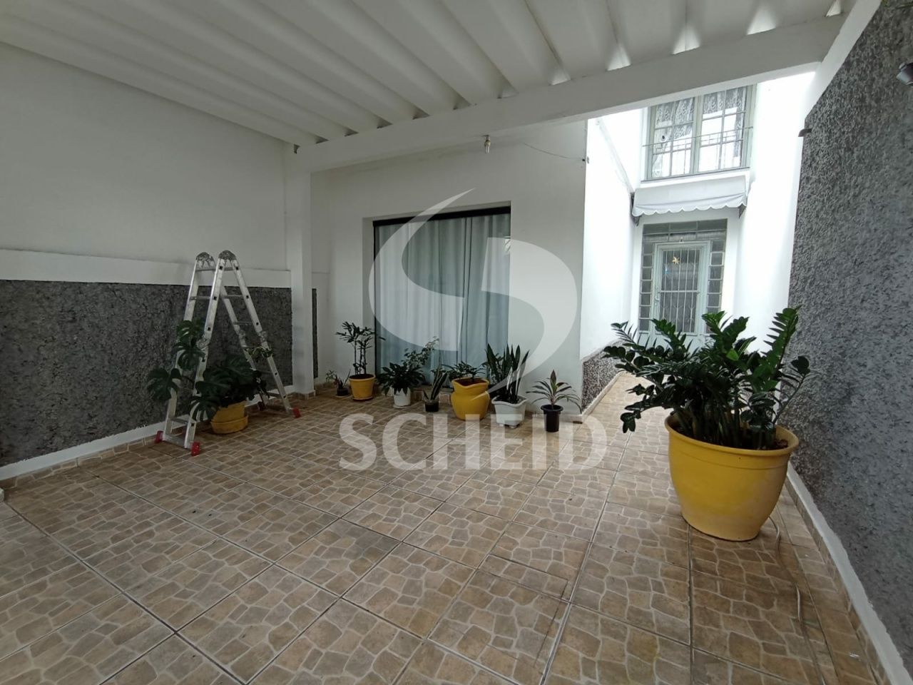 Foto 7