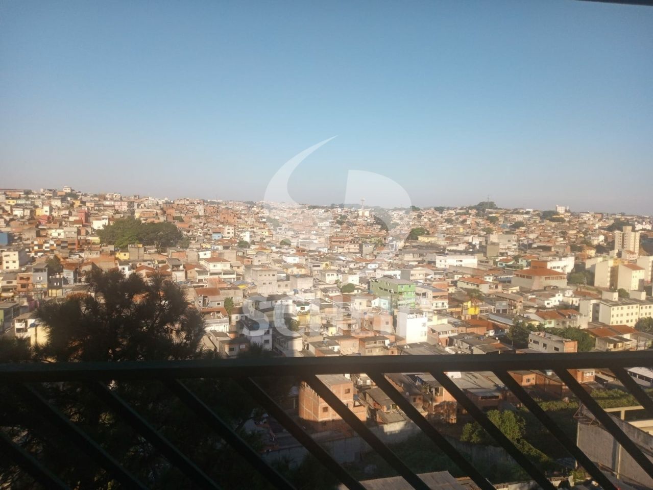 Foto 19