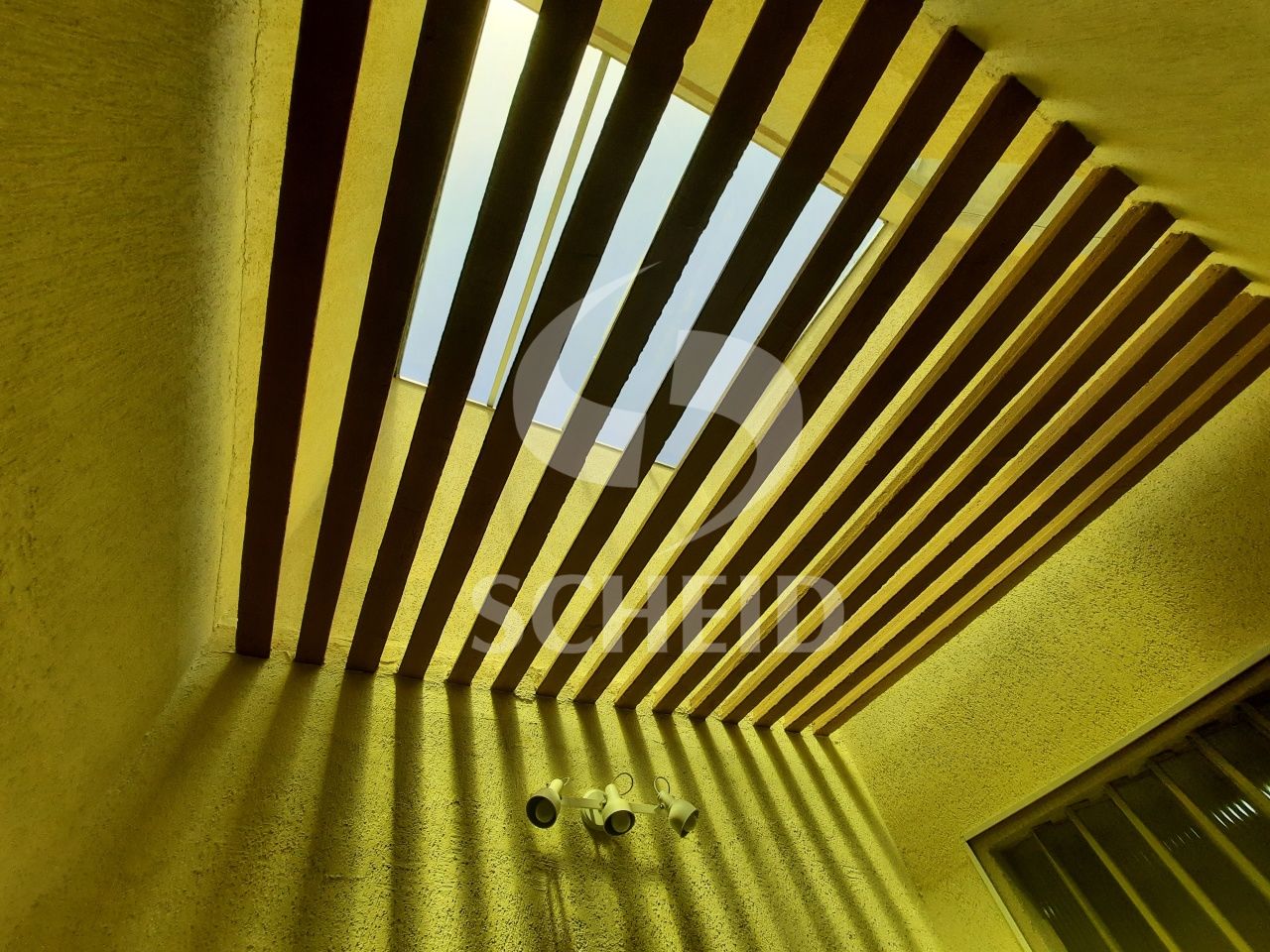 Foto 19